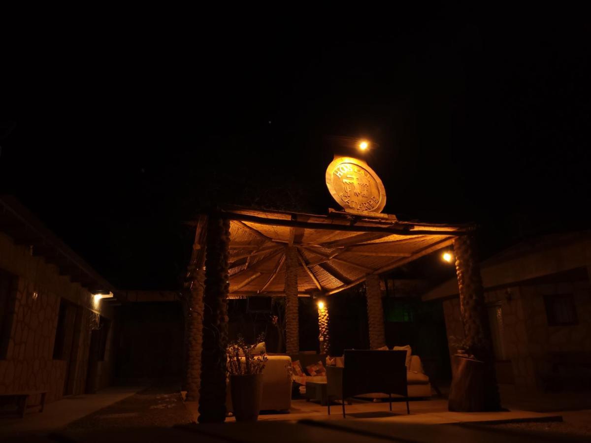 Katarpe San Pedro de Atacama